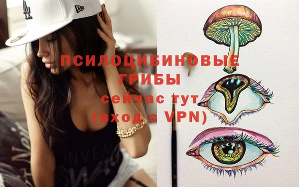 дурь Алзамай