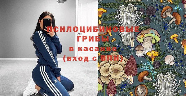 дурь Алзамай