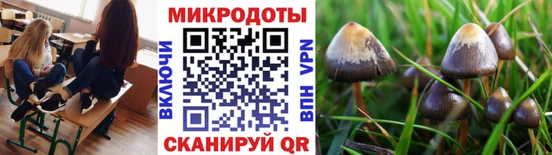 kraken зеркало как найти Грязи Псилоцибиновые грибы Magic Shrooms